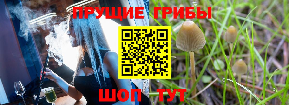 Воткинск  Галлюциногенные грибы GOLDEN TEACHER  Вход с VPN 